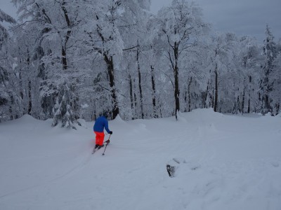 Vallée de Joux 67 01 21 (24).JPG