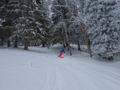 Vallée de Joux 67 01 21 (45).JPG