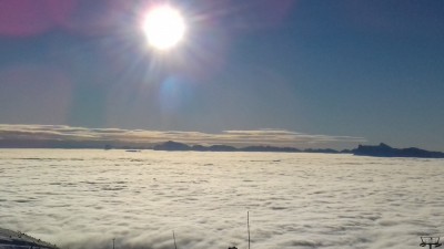 20210110_160302.jpg