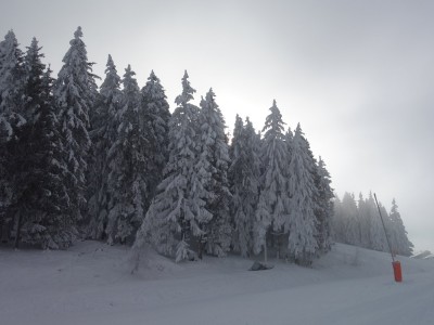 Col du Pouta 11 01 21 (1).JPG