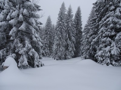 Les Rasses 13 01 21 (6).JPG