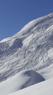 Zèbre et rodo dans la pente