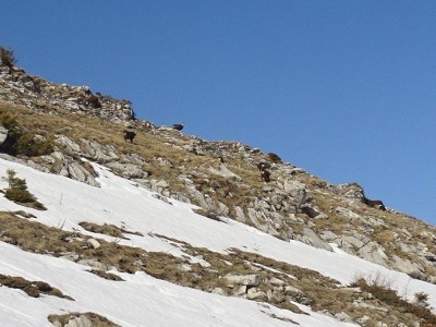 Rochers de Nayes 24 02 21 (22).JPG