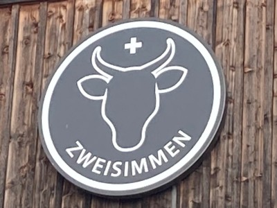Zweisimmen 04 03 21 (1).JPG