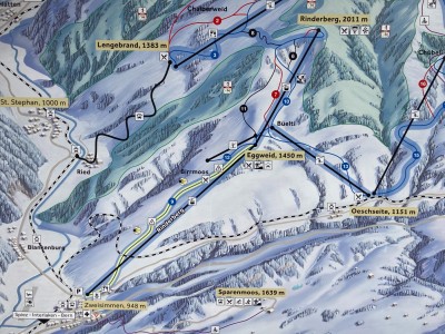 Zweisimmen 04 03 21 (2).JPG