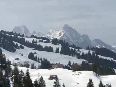 Zweisimmen 04 03 21 (5).JPG