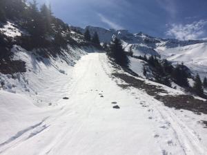 derdeder2019-023